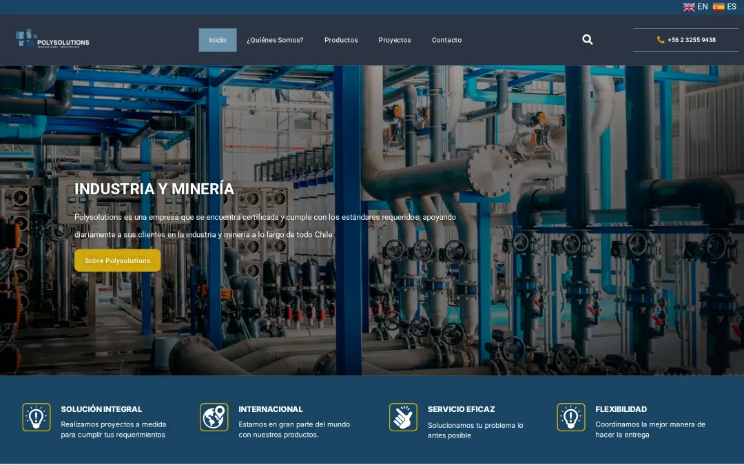 Home page of the Polysolutions website