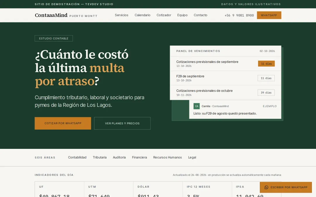 Home page of the demo for an accounting firm